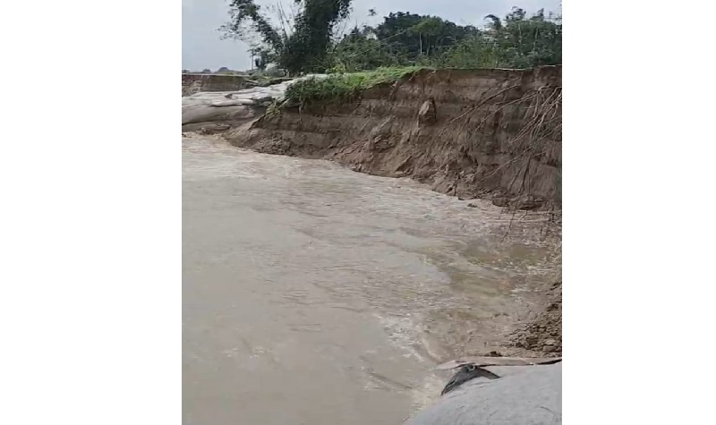 চাঁপাইনবাবগঞ্জে বাড়ছে পদ্মাসহ ৪ নদীর পানি,কোথাও কোথাও দেখা দিয়েছে নদীভাঙ্গন